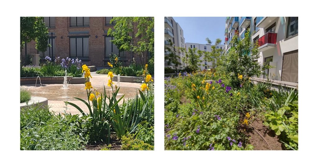 Frühlingserwachen bei studiomuc in Frankfurt: Ein Blick hinter die Kulissen 1 studiomuc Innenhof
