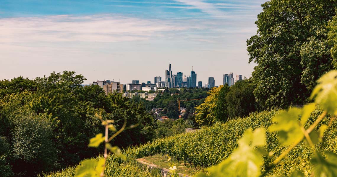 Frankfurt Bucketlist 2025